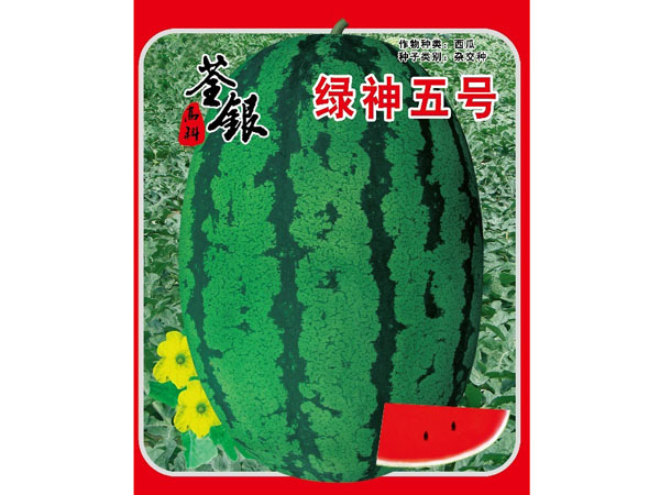 荃銀高科